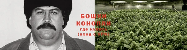 ешки Володарск