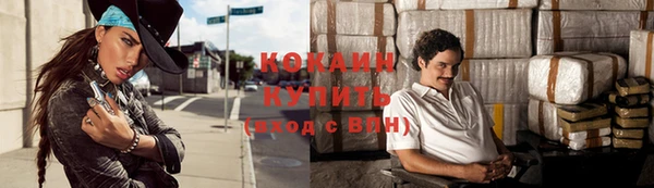 ГАЛЛЮЦИНОГЕННЫЕ ГРИБЫ Вязьма