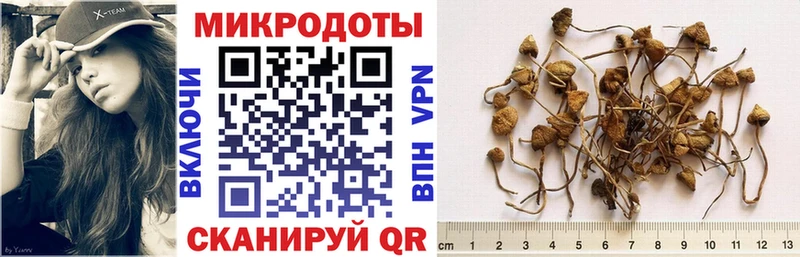 Купить где Кемь Галлюциногенные грибы мухоморы